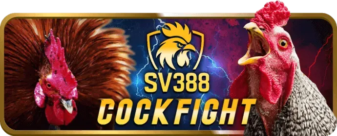 Đăng nhập và chơi ev88vn win