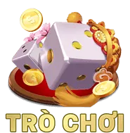 Biểu đồ minh họa các loại dữ liệu cá nhân được ev88vn win thu thập an toàn